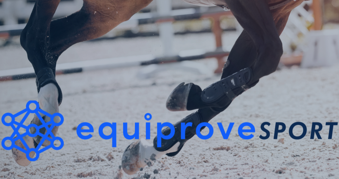 equiproveSPORT platform screenshot
