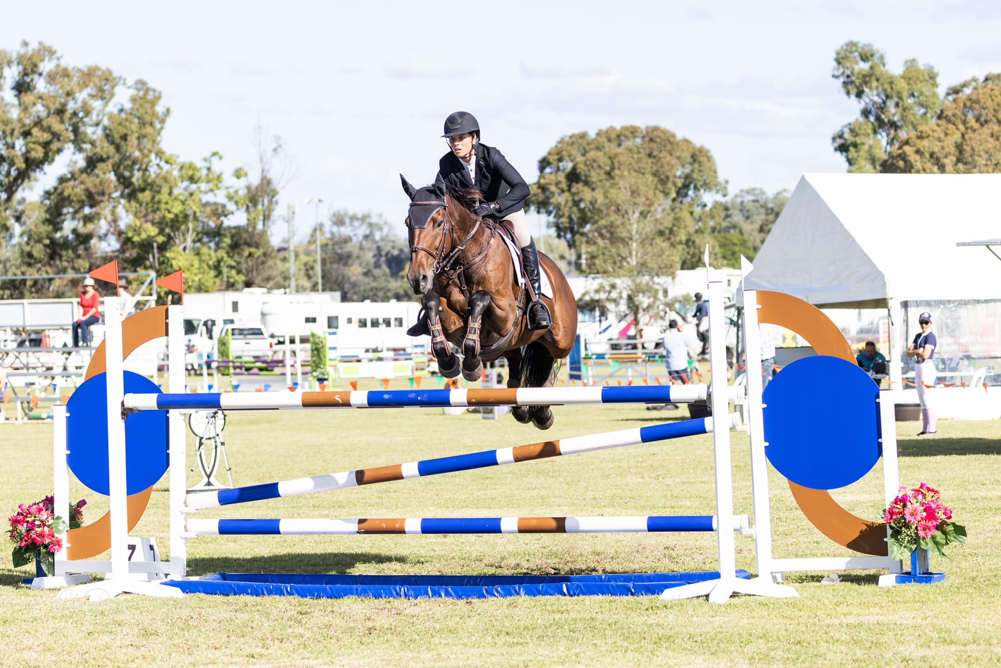 equestrian jumping competition
