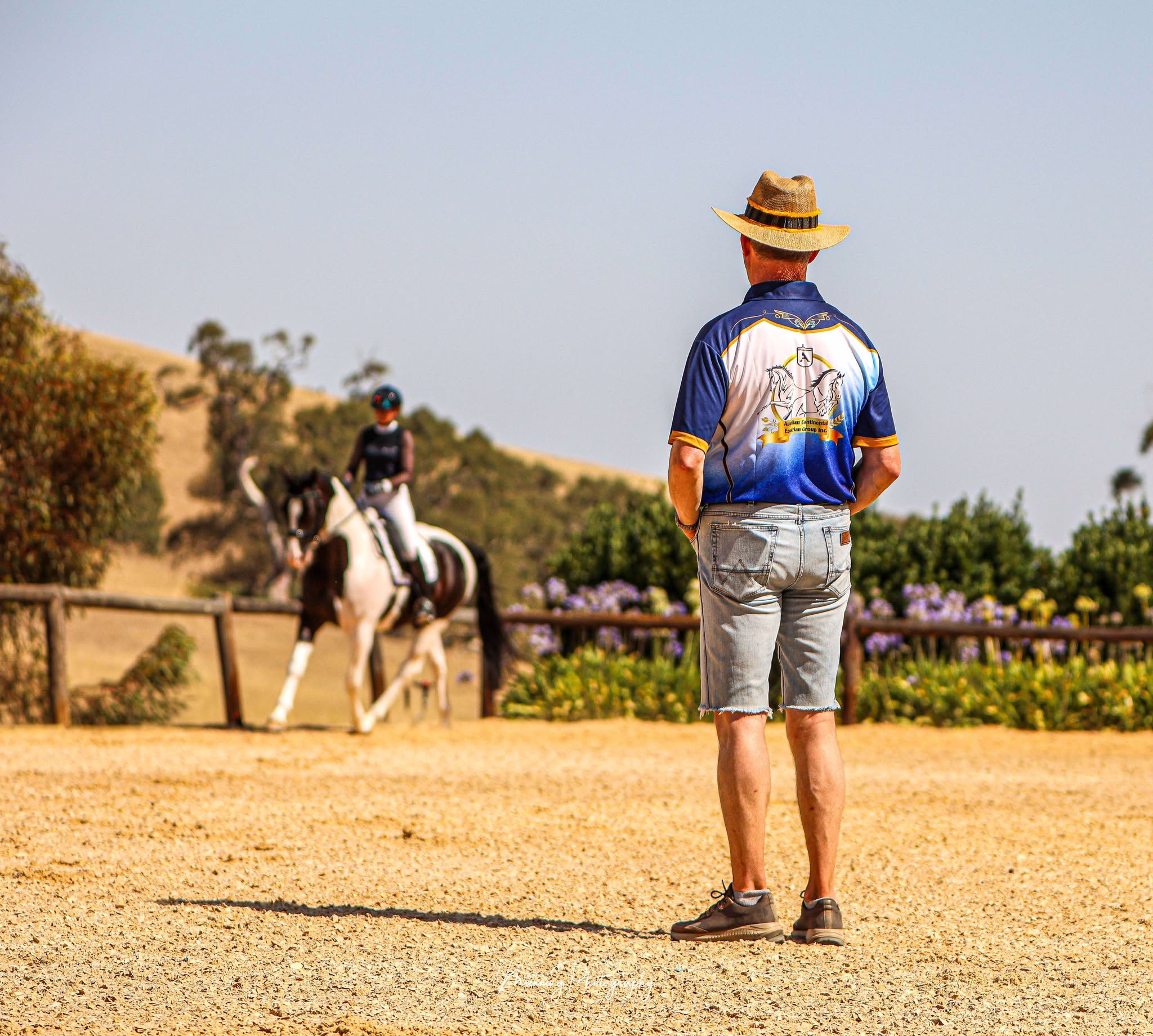 equestrian organisations and registries