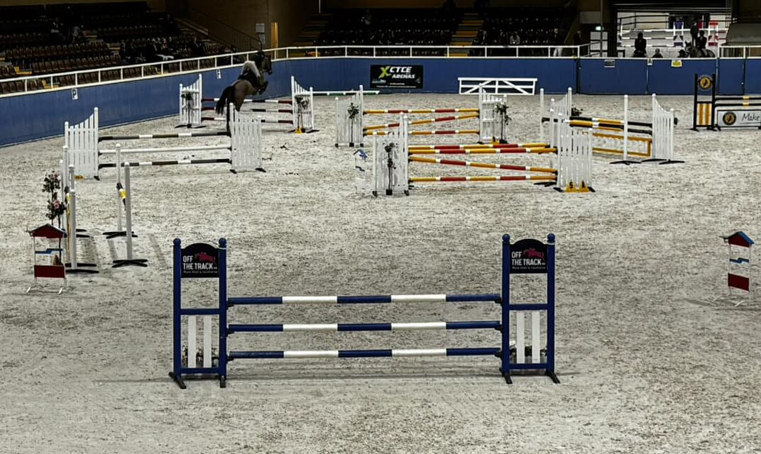 horse and rider competing cross country