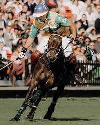 equestrian sport and performance